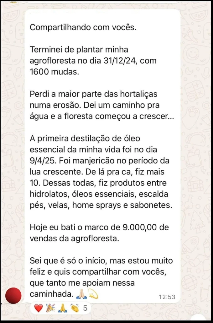 Relato de aluna sobre agrofloresta plantada com 1600 mudas e R$ 9.000 em vendas